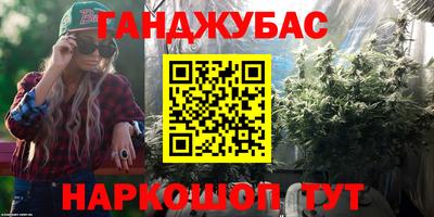 индика Гусь-Хрустальный