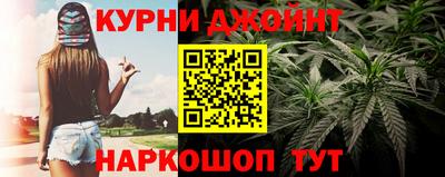 индика Гусь-Хрустальный