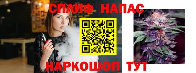 мдпв Гусев