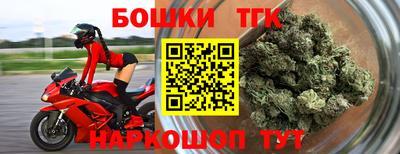 мдпв Гусев