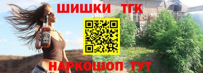 мдпв Гусев