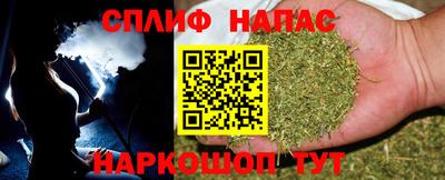 индика Гусь-Хрустальный